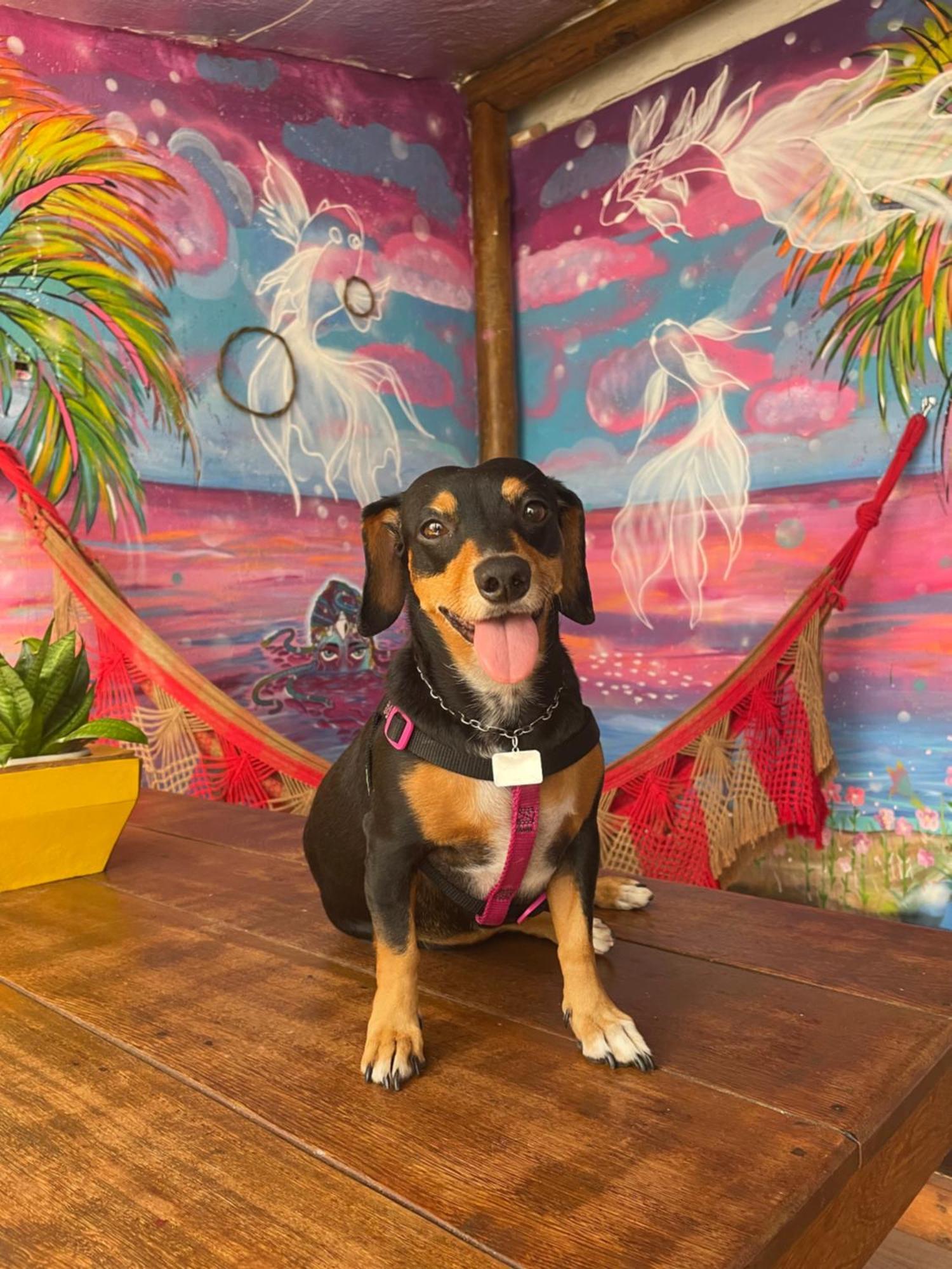 Solcity Hostel サルバドール エクステリア 写真